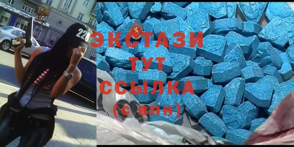 индика Инта
