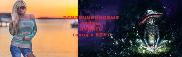 ешки Инсар