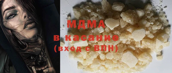 индика Инта
